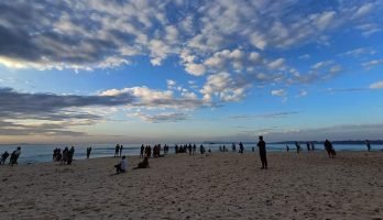 FB_IMG_1678420821606